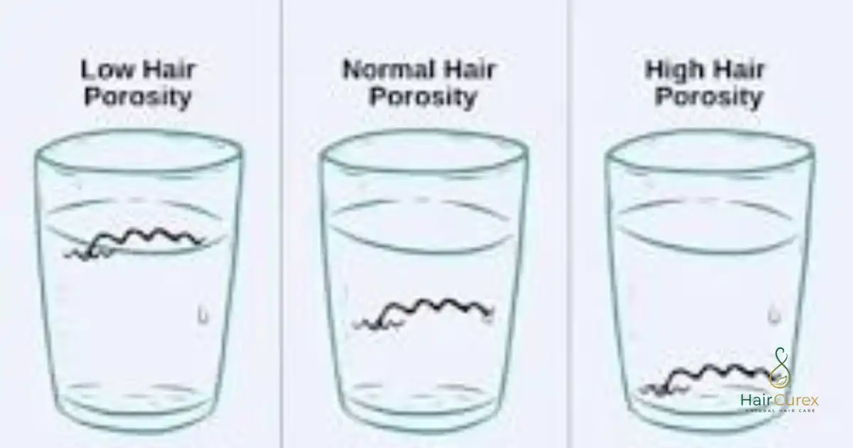 How to Test Your Hair Porosity at Home